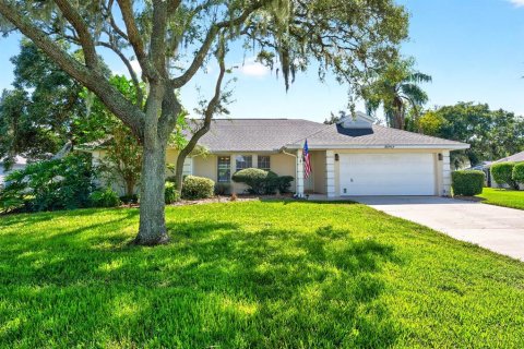 Villa ou maison à Leesburg, Floride 3 chambres, 193.33 m2 № 2427539