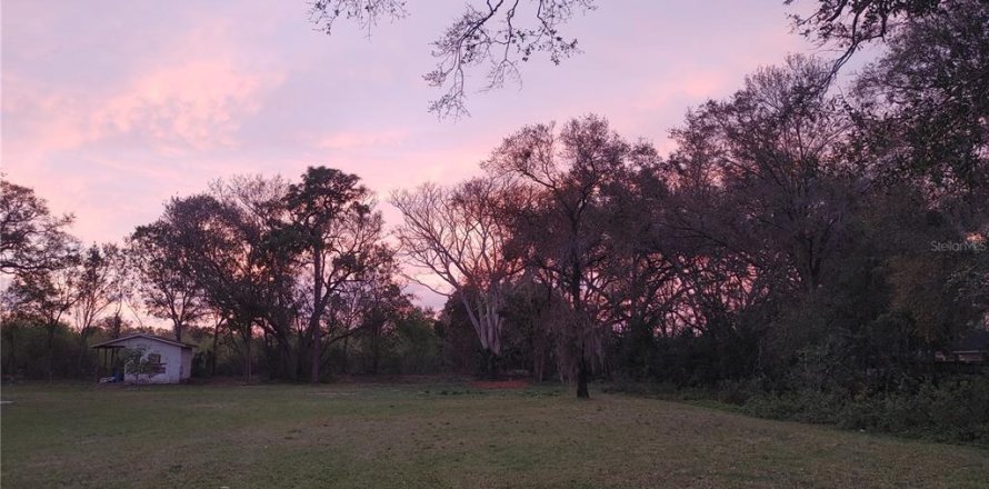 Land in Tampa, Florida № 1549124