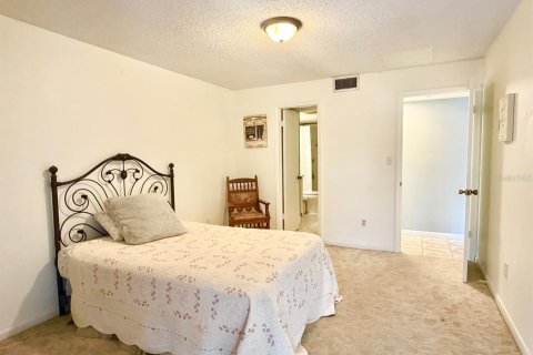 Copropriété à louer à New Port Richey, Floride: 1 chambre, 75.81 m2 № 2401094 - photo 20