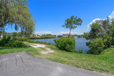 Copropriété à louer à New Port Richey, Floride: 1 chambre, 75.81 m2 № 2401094 - photo 30