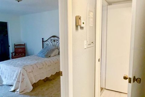 Copropriété à louer à New Port Richey, Floride: 1 chambre, 75.81 m2 № 2401094 - photo 22