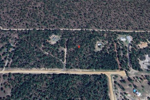 Land in Hawthorne, Florida № 1442256 - photo 7