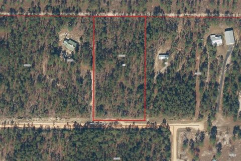 Land in Hawthorne, Florida № 1442256 - photo 1
