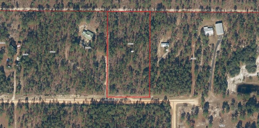Land in Hawthorne, Florida № 1442256