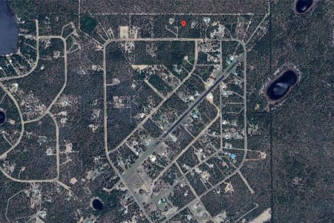 Land in Hawthorne, Florida № 1442256 - photo 6