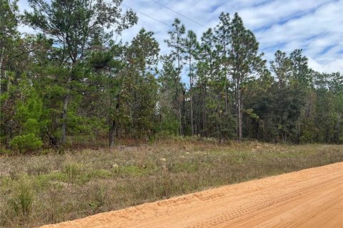 Land in Hawthorne, Florida № 1442256 - photo 4