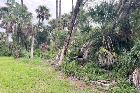Terrain à vendre à Port Charlotte, Floride № 1917361 - photo 7