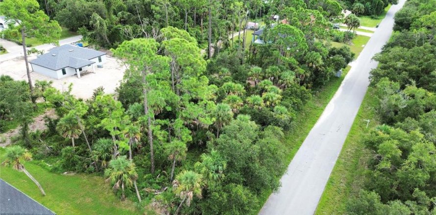 Terrain à Port Charlotte, Floride № 1917361