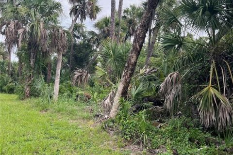 Terrain à vendre à Port Charlotte, Floride № 1917361 - photo 8