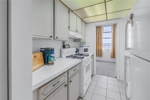 Condo in Gulfport, Florida, 1 bedroom  № 1518283 - photo 13
