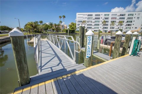 Condo in Gulfport, Florida, 1 bedroom  № 1518283 - photo 24