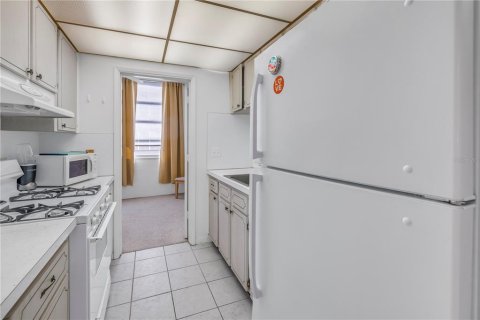 Condo in Gulfport, Florida, 1 bedroom  № 1518283 - photo 14