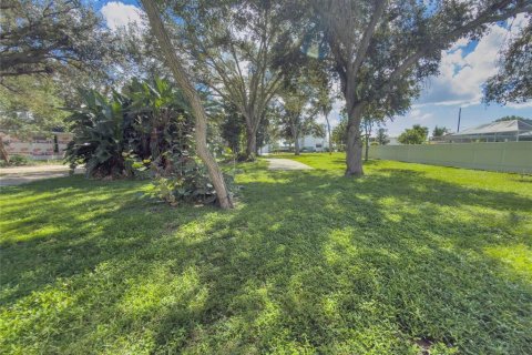 Terrain à vendre à Palmetto, Floride № 2421866 - photo 6
