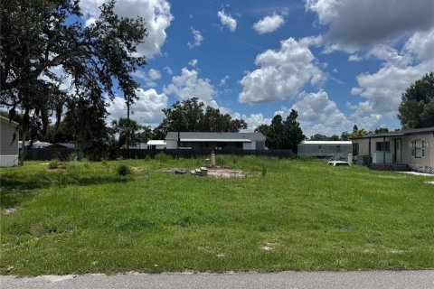 Land in Punta Gorda, Florida № 2158928 - photo 2