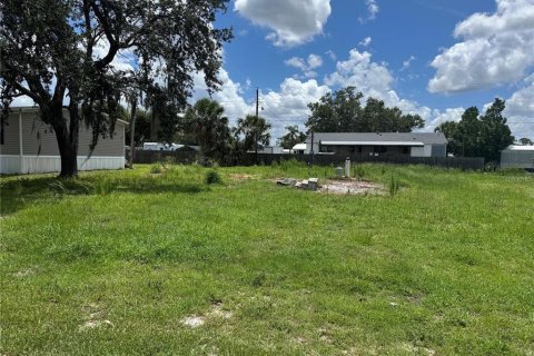 Terrain à Punta Gorda, Floride № 2158928