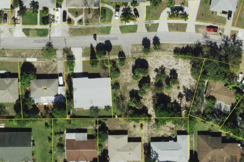 Land in Tarpon Springs, Florida № 1905726 - photo 1