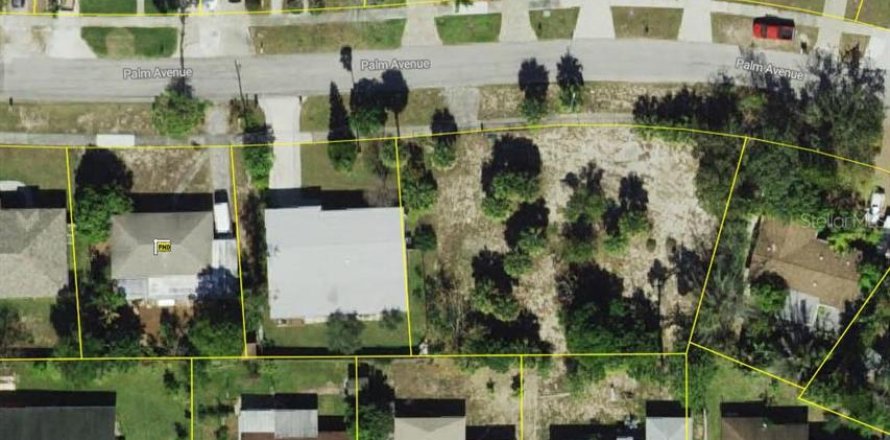 Terrain à Tarpon Springs, Floride № 1905726