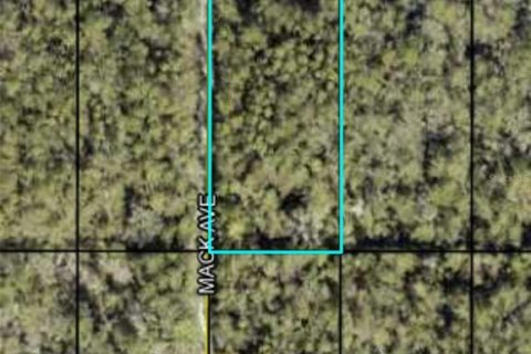 Land in Hastings, Florida № 2162737 - photo 2