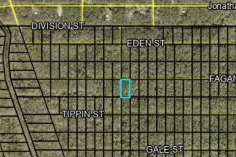 Land in Hastings, Florida № 2162737