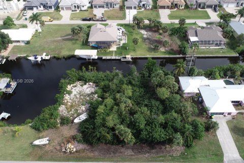 Terrain à Punta Gorda, Floride № 2170631