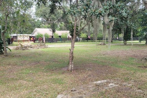 Villa ou maison à vendre à Lady Lake, Floride: 3 chambres, 161.28 m2 № 1629858 - photo 5