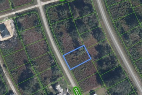 Immobilier commercial à Lake Placid, Floride № 2397983