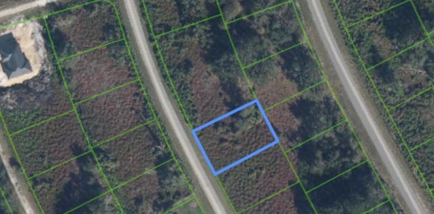 Immobilier commercial à Lake Placid, Floride № 2397983