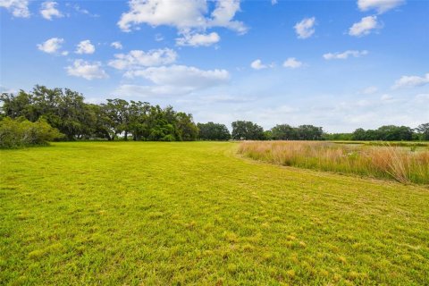 House in Spring Hill, Florida 5 bedrooms, 424.66 sq.m. № 1839798 - photo 7