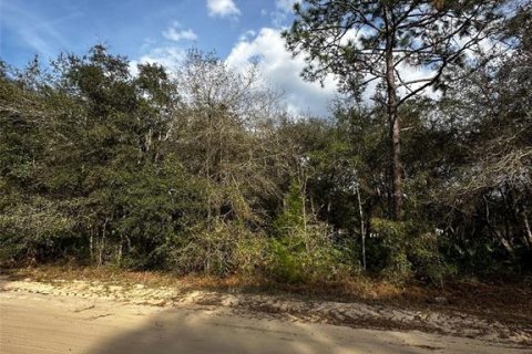 Land in Interlachen, Florida № 2161657