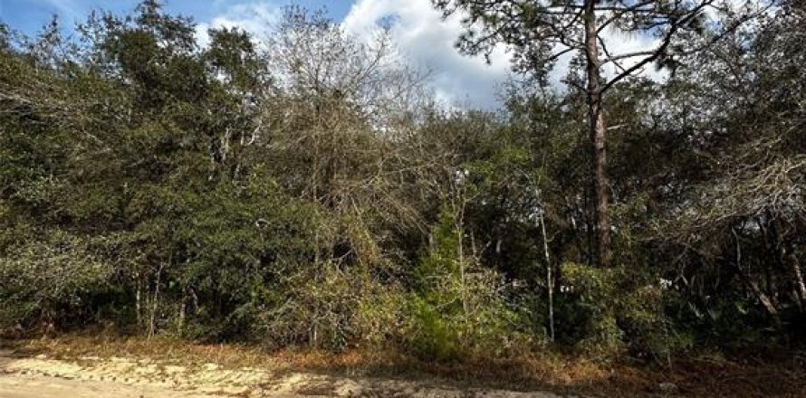 Land in Interlachen, Florida № 2161657