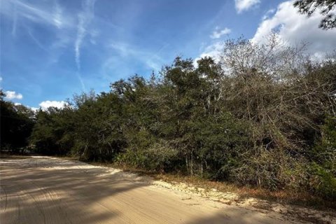 Land in Interlachen, Florida № 2161657 - photo 2