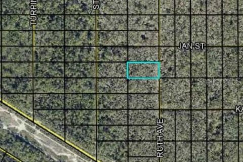 Land in Hastings, Florida № 2361248