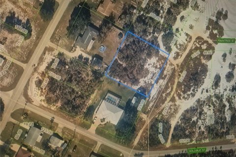 Terreno en Lake Placid, Florida № 2195693