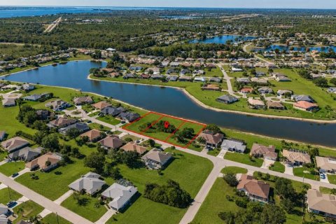 Land in Punta Gorda, Florida № 2236464 - photo 2