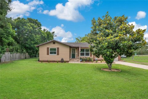 House in Mount Dora, Florida 3 bedrooms, 166.67 sq.m. № 1815663 - photo 1