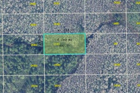 Land in Orlando, Florida № 2118545 - photo 3