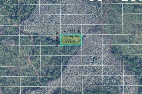 Land in Orlando, Florida № 2118545