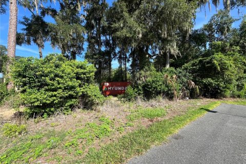 Land in Gainesville, Florida № 1886162 - photo 2
