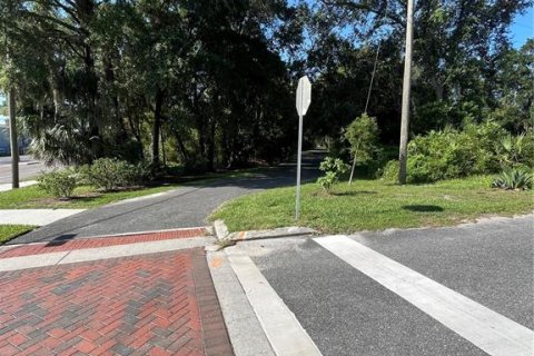 Land in Gainesville, Florida № 1886162 - photo 5