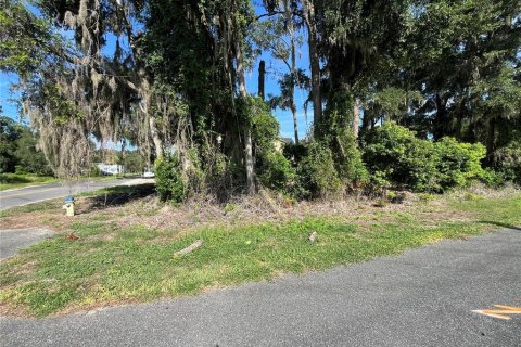 Land in Gainesville, Florida № 1886162 - photo 4