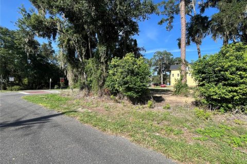 Land in Gainesville, Florida № 1886162 - photo 3