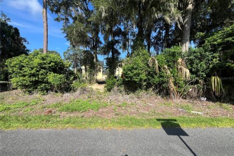 Land in Gainesville, Florida № 1886162 - photo 1