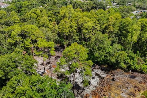 Terreno en venta en Tampa, Florida № 1885187 - foto 6