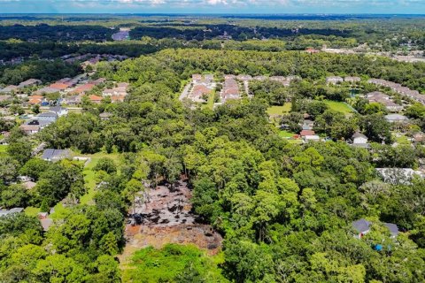 Terreno en venta en Tampa, Florida № 1885187 - foto 4