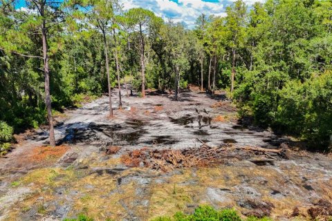 Terreno en venta en Tampa, Florida № 1885187 - foto 1