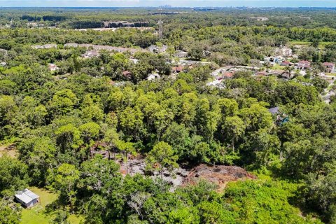 Terreno en venta en Tampa, Florida № 1885187 - foto 13