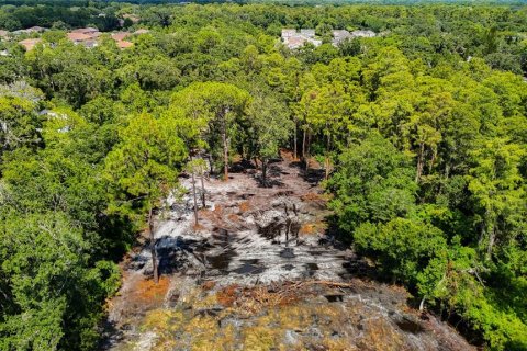 Terreno en venta en Tampa, Florida № 1885187 - foto 2