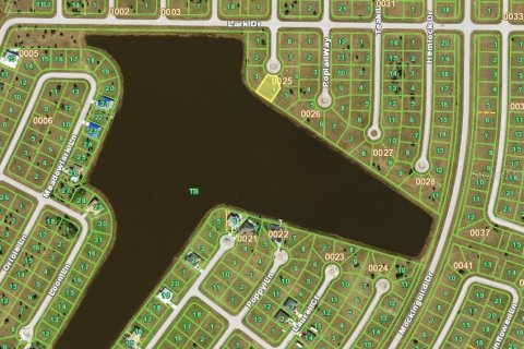 Land in Placida, Florida № 2165732 - photo 4