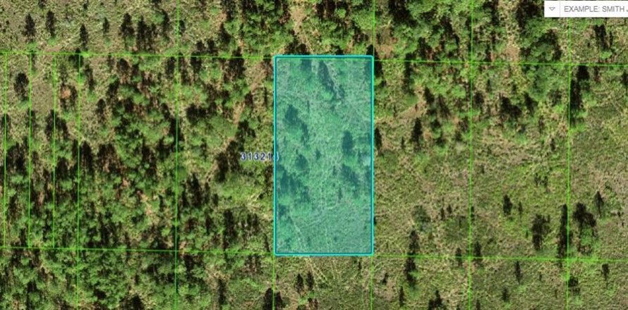 Terreno en Frostproof, Florida № 2164027
