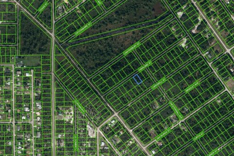 Land in Lake Placid, Florida № 2224097